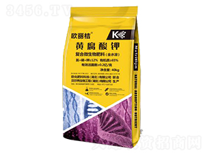 �S�����-�W����-�W������