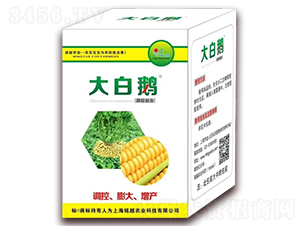 �{�ؽM�ϣ�������{�ء����a��-����Z-�Խ