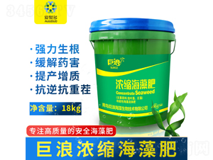 濃縮海藻肥（桶）-巨浪-愛聚多