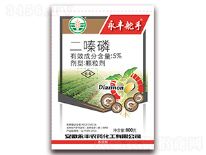 5%������w����-���S����-���S�r(n��ng)ˎ