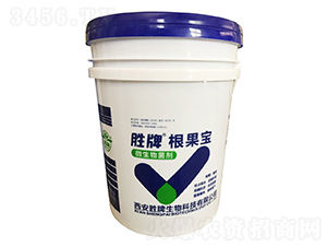 ΢�������-������-����