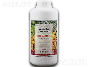 ��Ԫ���}�V���F�\�~���-���R