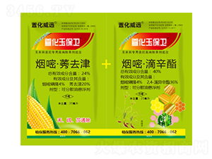 �����������݄��M��-�滯���l(w��i)-�滯���h(yu��n)