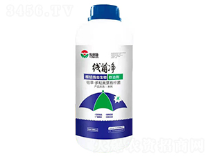 ���Y���x������΄�-������-�϶�a