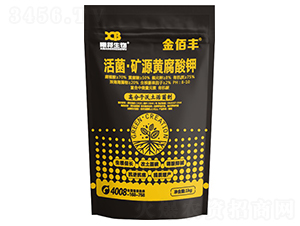 ������VԴ�S�����-����S-�ذ�����