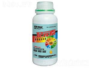 12Ԫ��-�ذ�����