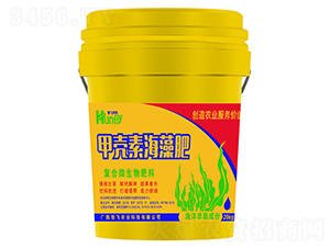 �ך��غ����-���w�r(n��ng)��