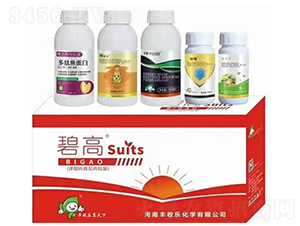 �������a(ch��n)�ײ�-�̸�-�S�՘�(l��)