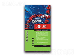 �Gɫ��(ji��)�ܷ���-һƷ��