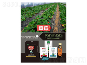 ���砀���M���ײͣ���ݮ���ã�-�Ϸ�·-�Z�M�� 