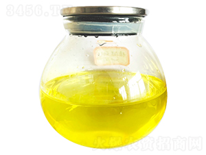 糖醇硼（原裝）-指南針