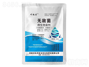 500g΢�������-�o����-�~����