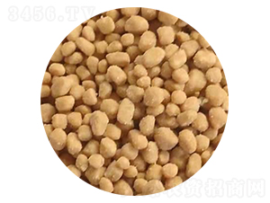 �����w��-�ӱ�����