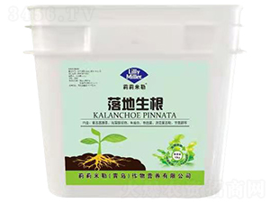 �������-��������