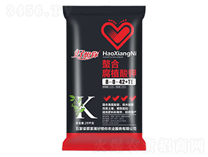 ���ϸ�ֲ���8-0-42+TE-�������r�I(y��)