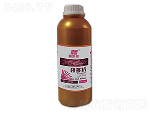 ���࿹-��δ��