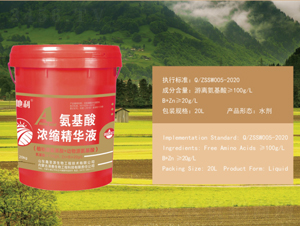 �������s���AҺ-������-��������