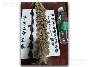 ��Ų�֥��N�ӌ�(sh��)���D