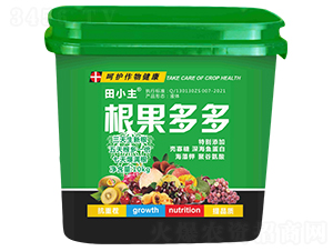 �������-��С��-����