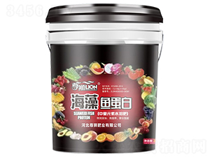 �����~����-��{-����