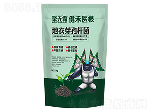 �����t(y��)������ѿ�ߗU��-�۟o��-���S����