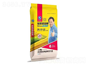 ��ጓ����28-10-10-�����o(j��)