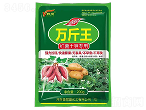 �t�����������f(w��n)����-�ݴT-�ݠ��S