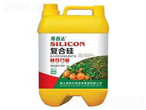 �ͺϹ�-Ħ���_-������r