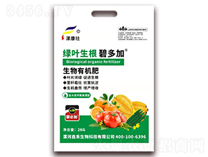 �G�~�����̶��-�κ�����