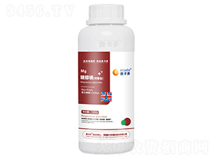 �Ǵ��V���p���ϣ�-�W����