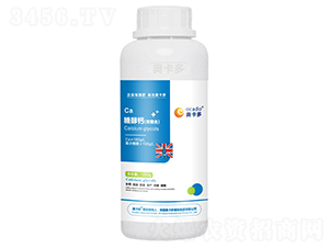 �Ǵ��}���p���ϣ�-�W����