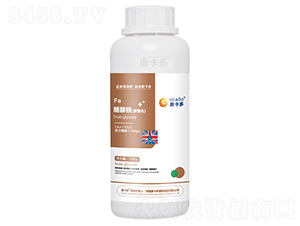 �Ǵ��F���p���ϣ�-�W����