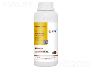 �Ǵ��~���p���ϣ�-�W����