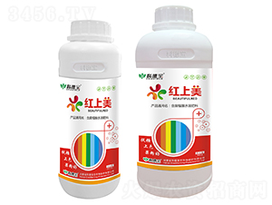 ����ֲ��ˮ�ܷ���-�t����-�Ƶ�