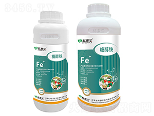 �Ǵ��F-�Ƶ�