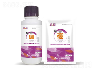 ������-�̸�-�ɭ����