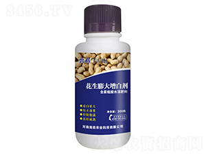 ����������ׄ�-�̸�-�ɭ����