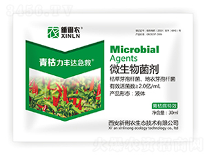 ΢�������-������S�_����-�����r