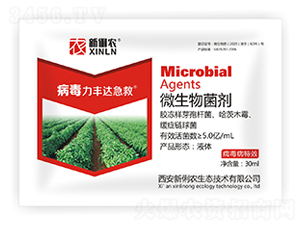 ΢�������-�������S�_(d��)����-�����r(n��ng)