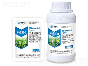 ΢�������-̿��120-�����r(n��ng)