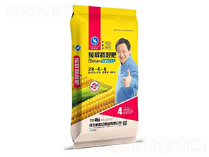 ��ጓ����28-6-6-�����o(j��)