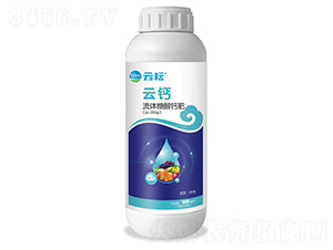 ���w�Ǵ��}��-���}-����