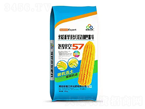 ��ጓ������-�긣���h(hu��n)