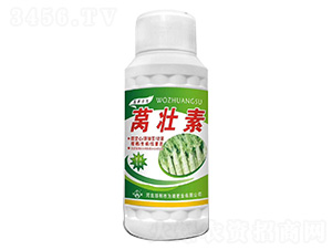 �n����-���ʘI(y��)