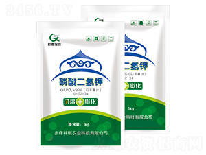 �W������������-���屣��-�����r(n��ng)�I(y��)