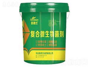 ��(f��)��΢�������-ʥ���m