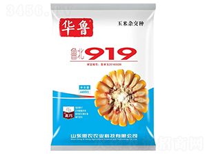 ����919-���׷N��-���S�r(n��ng)�I(y��)