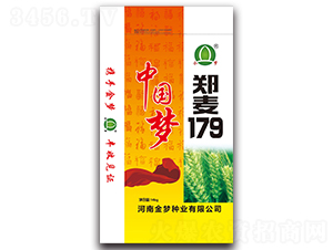 鄭麥179-小麥種子-金夢種業(yè)