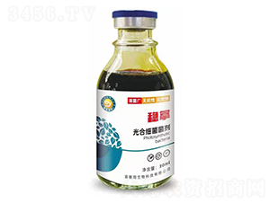 ��ϼ�������-��(w��n)��-��ɫ���