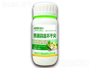 蔥姜蒜非不干尖-伽米爾-木禾佳寶